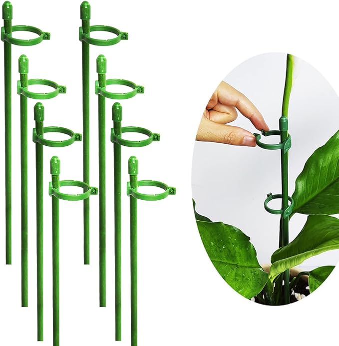 StellaStem | Solid støtte for planter som vokser seg sterke og ranke | ribuella