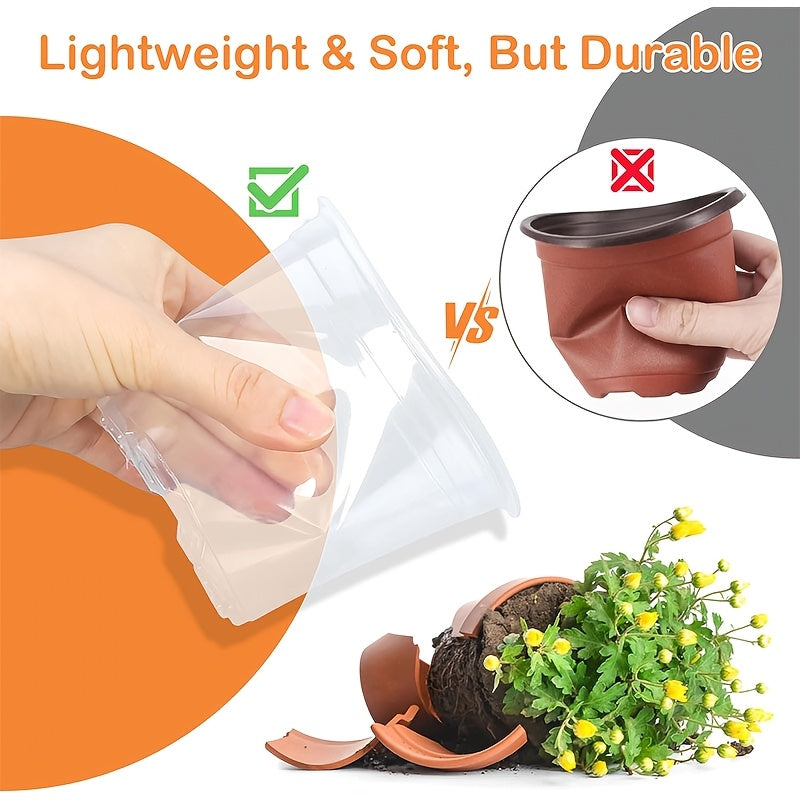 ROOTVIEW GARDEN SET – Clear Pots for Effortless Root Observation | ribuella