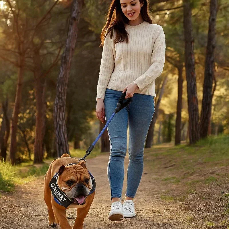 Peitoral personalizável SafePaw para cães — ajuste ergonómico, correias de controlo da tração