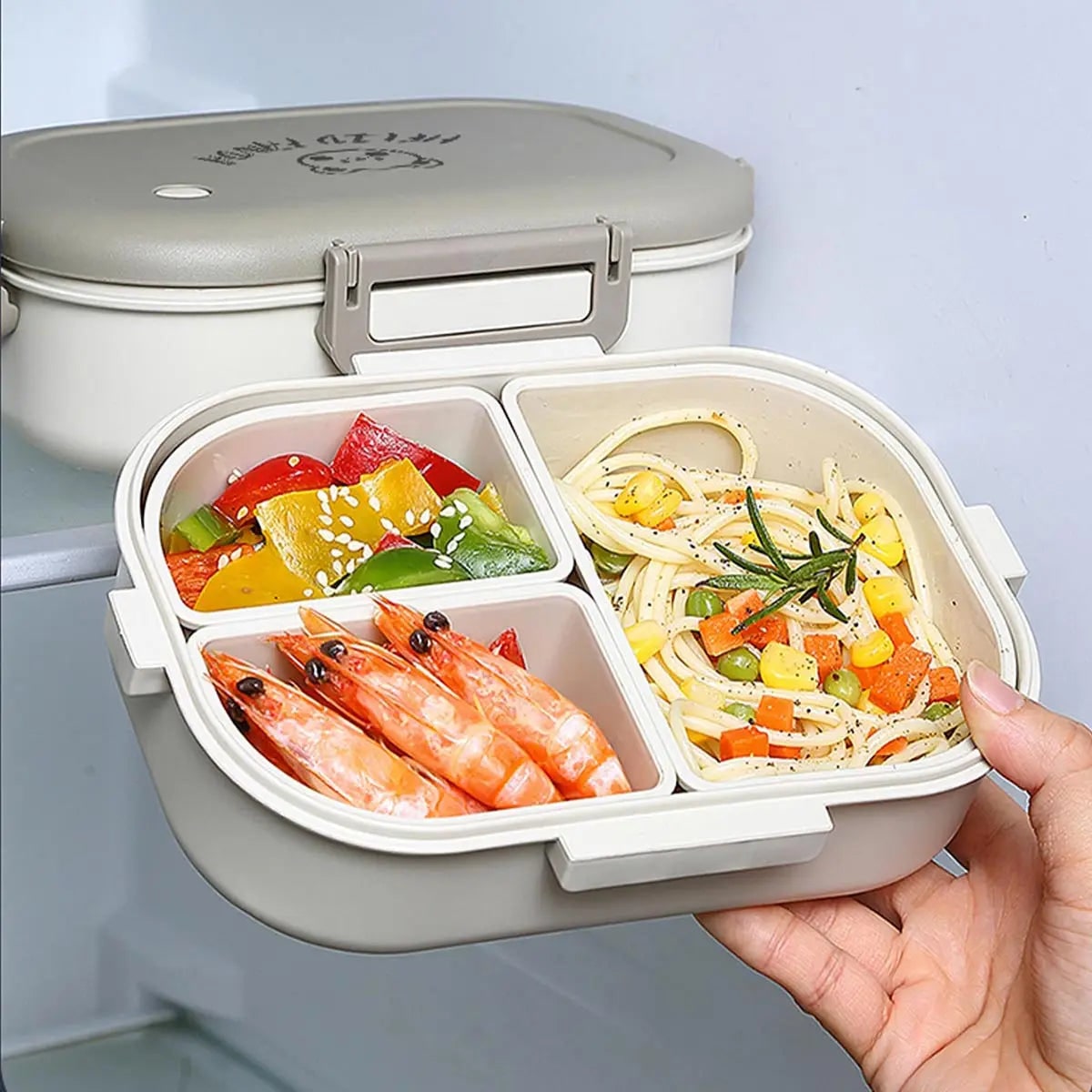 Leak Proof Bento Lunch Box, Removable Compartments, Snap Lock Lid, Insulated Carry Bag