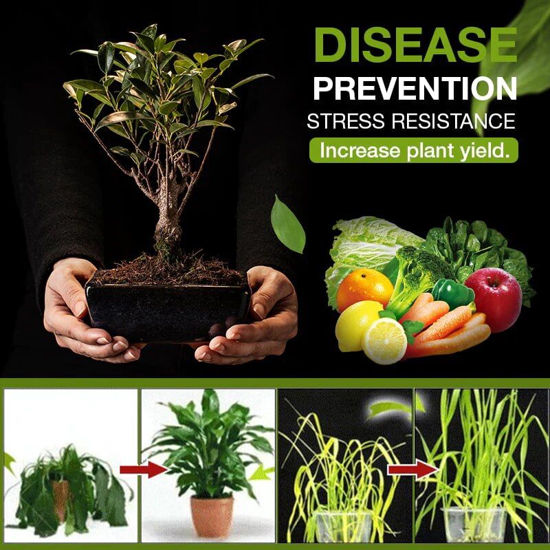 TerraPulse | Ignite Your Garden’s Life in Just 3 Days with Pure, Powerful Growth | ribuella