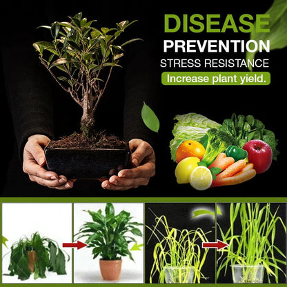 TerraPulse | Ignite Your Garden’s Life in Just 3 Days with Pure, Powerful Growth | ribuella