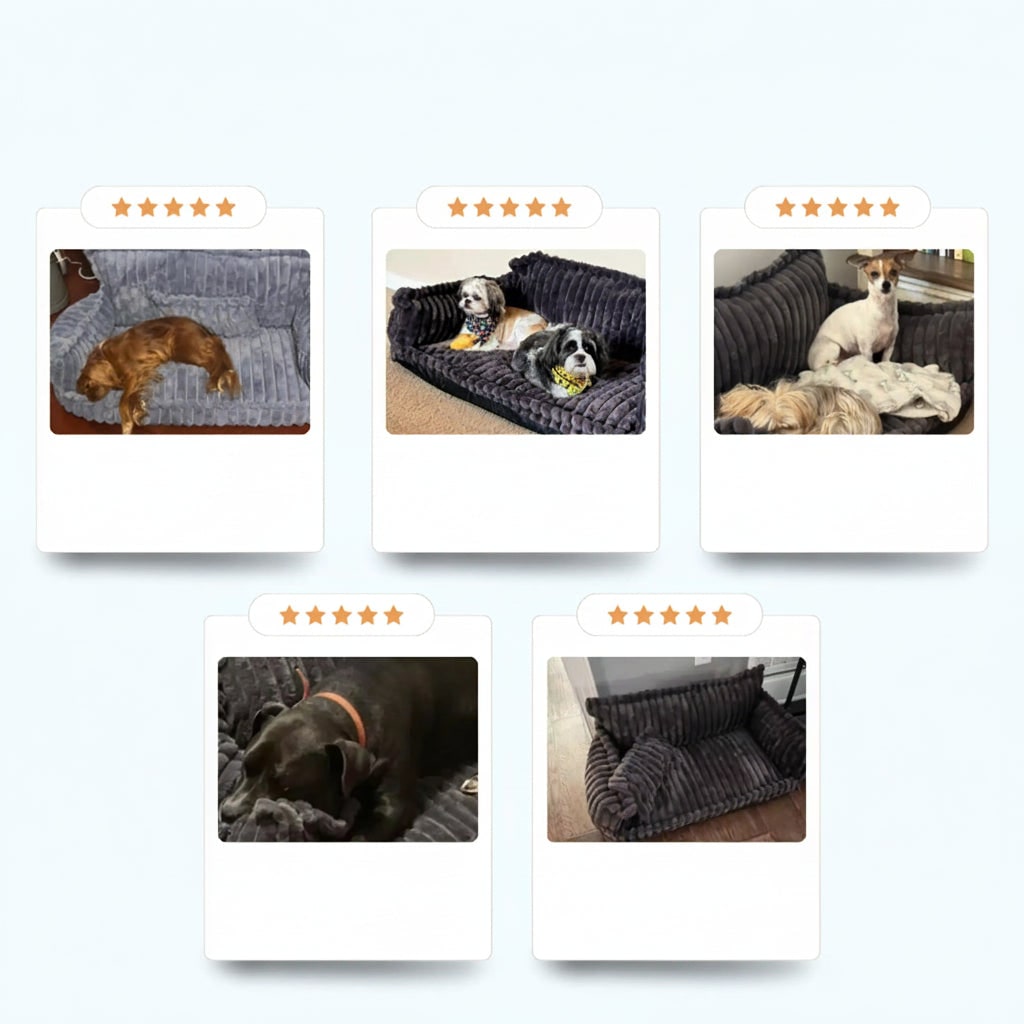 Orthopedic Dog Sofa Bed, Washable, Raised Bolsters, Plush Pillow