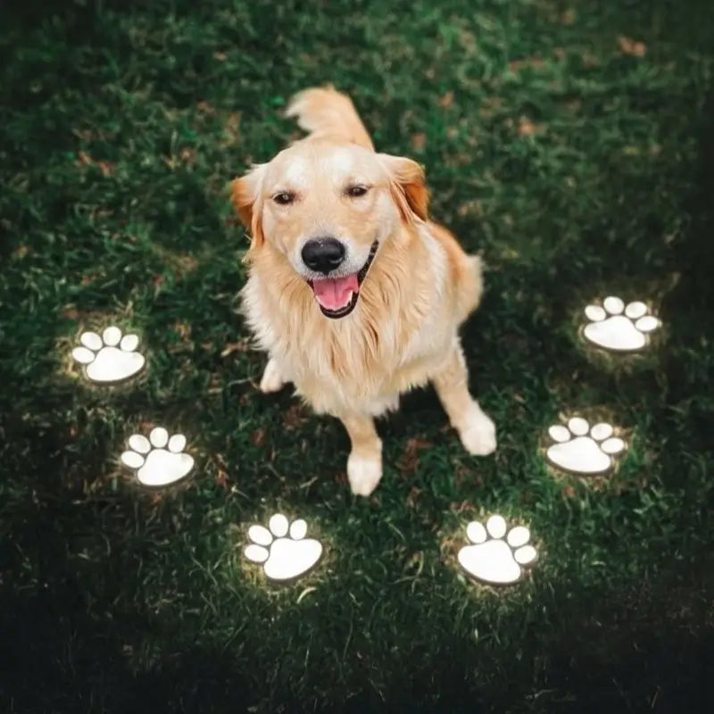 Solar Paw Print Path Light - Warm Night Glow And Rechargeable Via Sunlight
