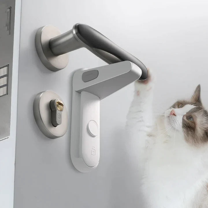 SecureNest | Lock In Peace and Protect What Matters Most | ribuella