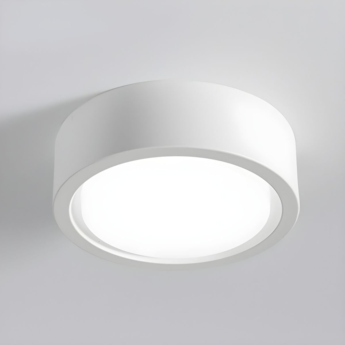 Modern Cylinder Flush Mount LED Ceiling Light Energy Efficient Frosted Diffuser