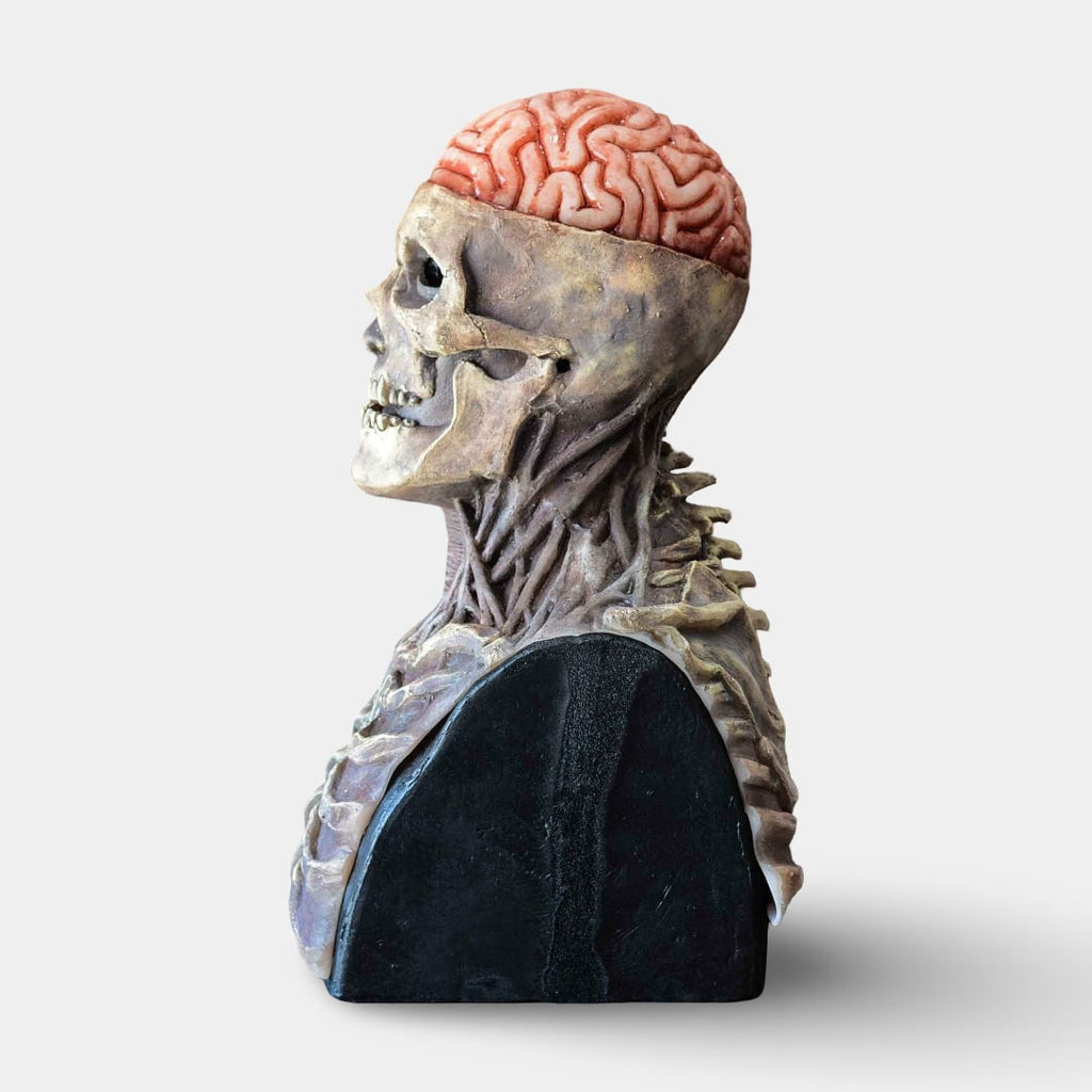 Busto de caveira de esqueleto para o Halloween, detalhe de cérebro exposto e acabamento envelhecido