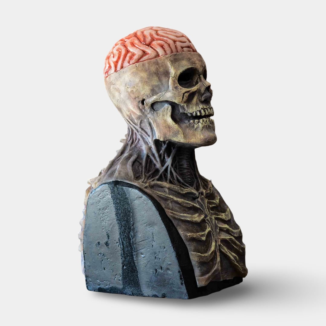 Busto de caveira de esqueleto para o Halloween, detalhe de cérebro exposto e acabamento envelhecido