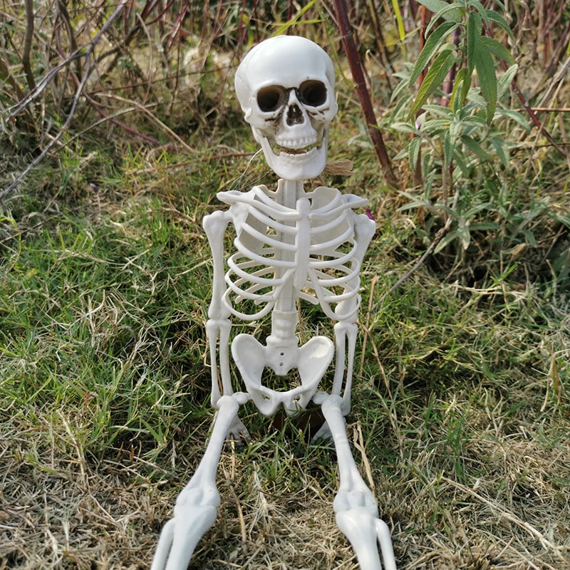 12 Foot Tall Posable Halloween Skeleton Decoration - Lightweight Plastic Prop
