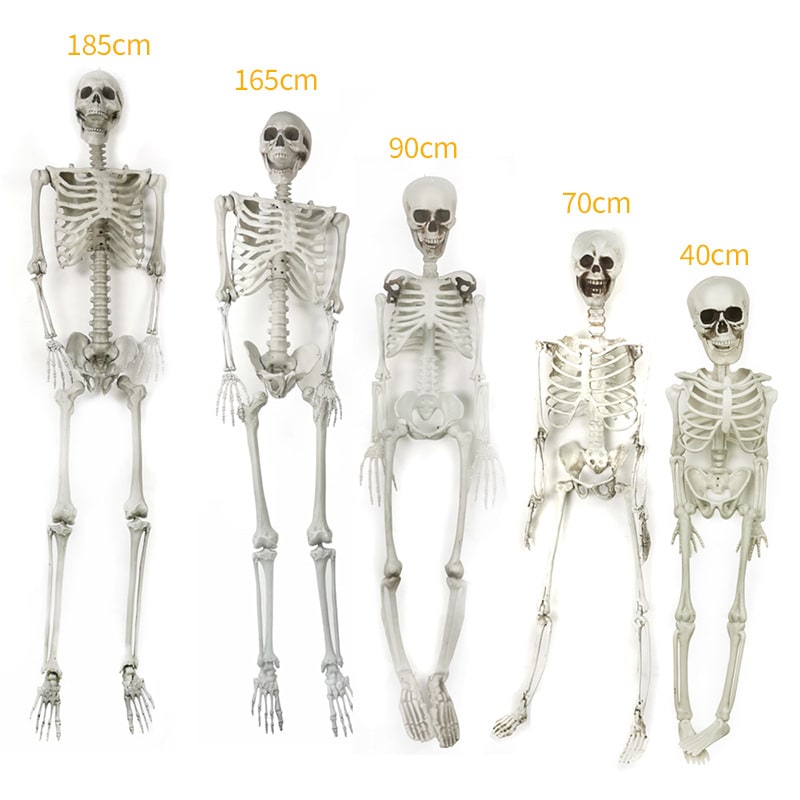 12 Foot Tall Posable Halloween Skeleton Decoration - Lightweight Plastic Prop