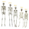 12 Foot Tall Posable Halloween Skeleton Decoration - Lightweight Plastic Prop