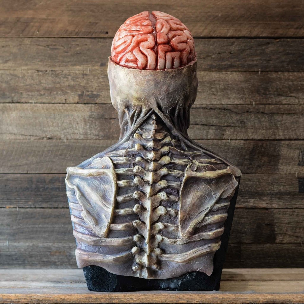Máscara de látex de calavera para toda la cabeza con cerebro expuesto y babero de pecho esculpido