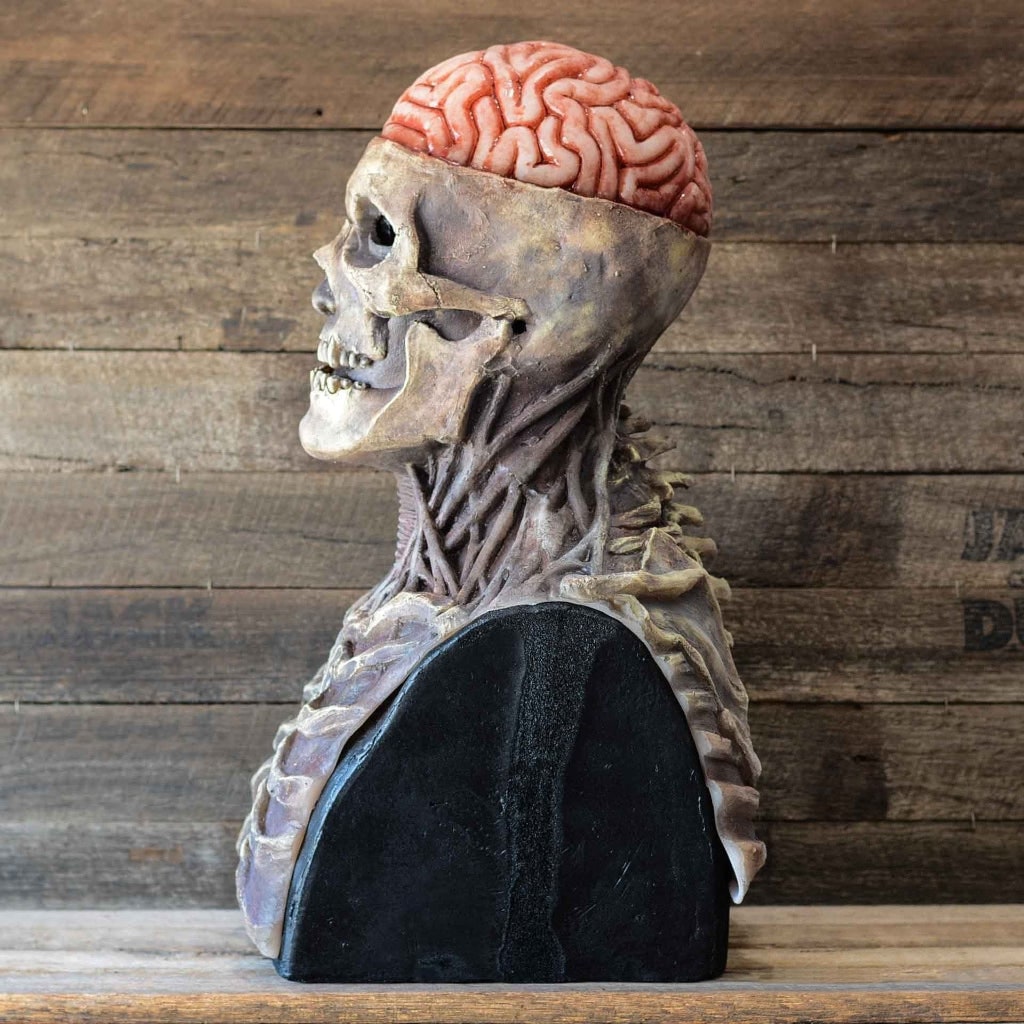 Máscara de látex de calavera para toda la cabeza con cerebro expuesto y babero de pecho esculpido