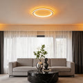 Moderní stropní LED svítidlo s kovovým rámem, akrylátovým stínidlem, stmíváním, dálkovým ovládáním, 28 W, 1960 lm | ribuella