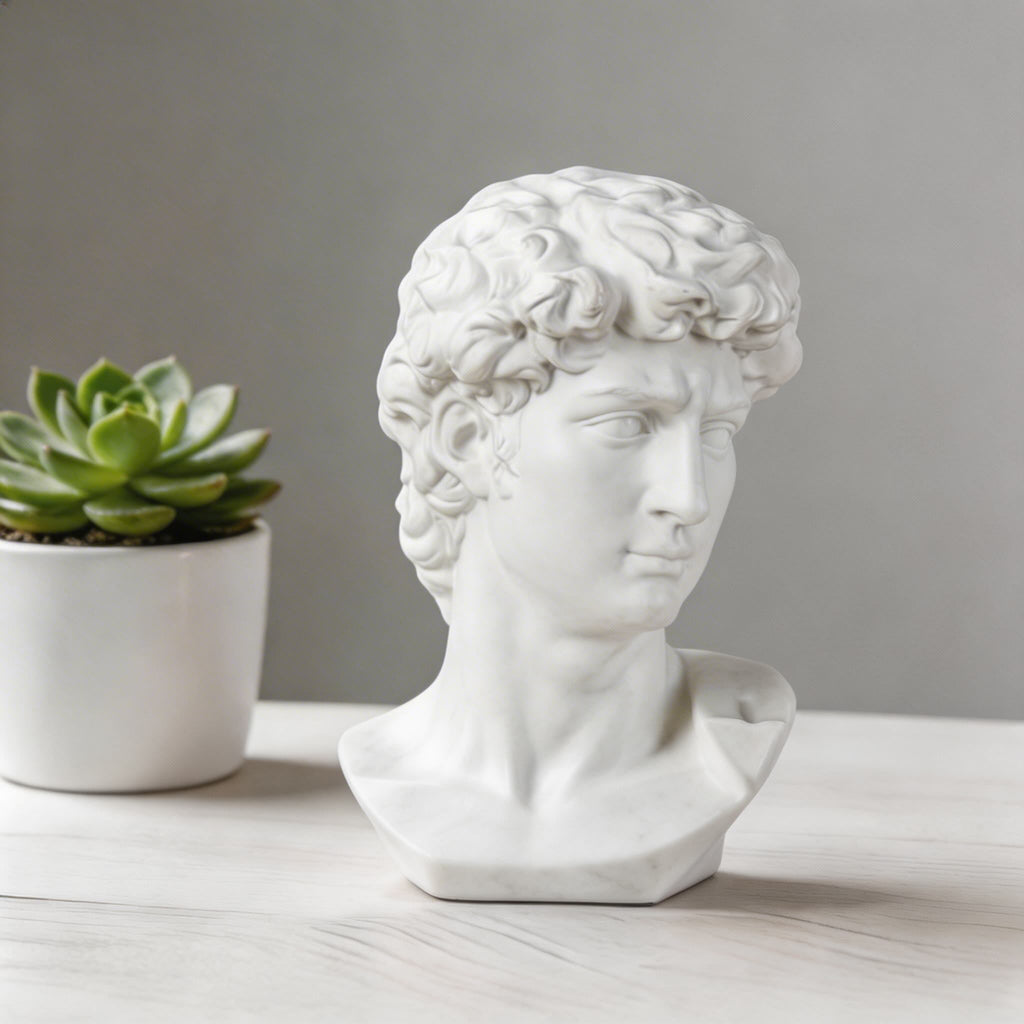 Modern Abstract David Head Bust Sculpture Decorative Art Piece Hand-Carved Resin Unique Design | ribuella