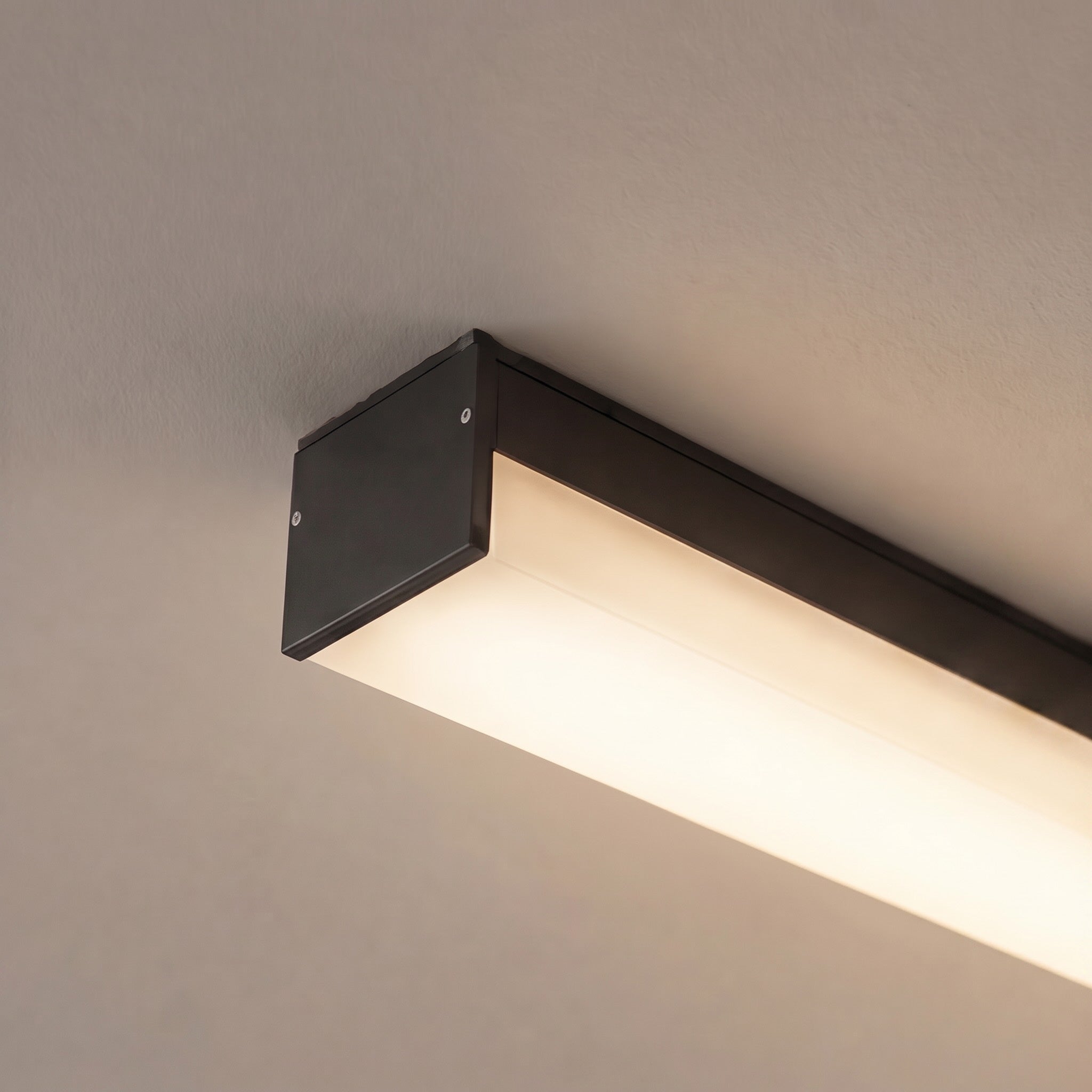 Modern Minimalist Ceiling Light Flush Mount LED Dimmable Aluminum Indoor Lighting | ribuella