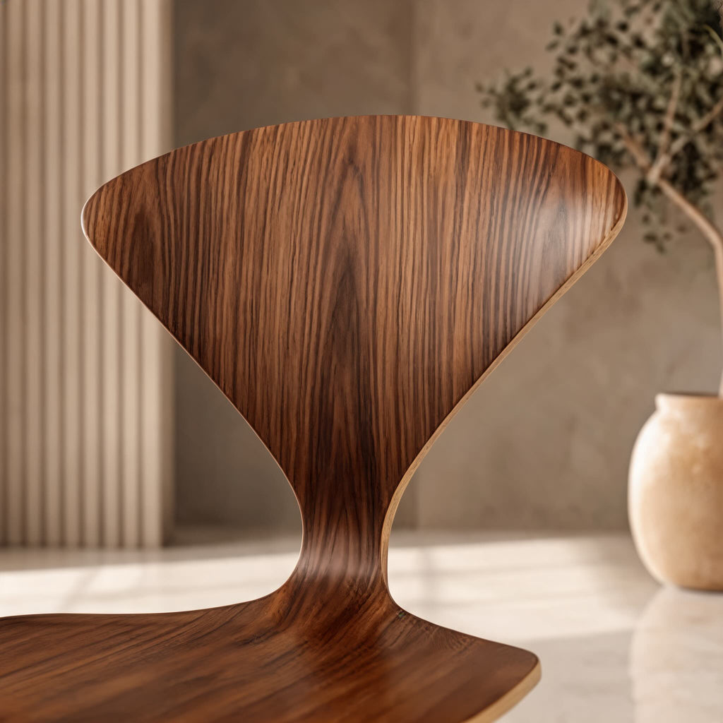 Modern Black Dining Chairs Set of 4 with Ergonomic Bentwood Butterfly Backrest for Dining Rooms | ribuella