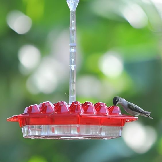 Hanging Hummingbird Feeder Multiple Perch Ports Plastic Nectar Container