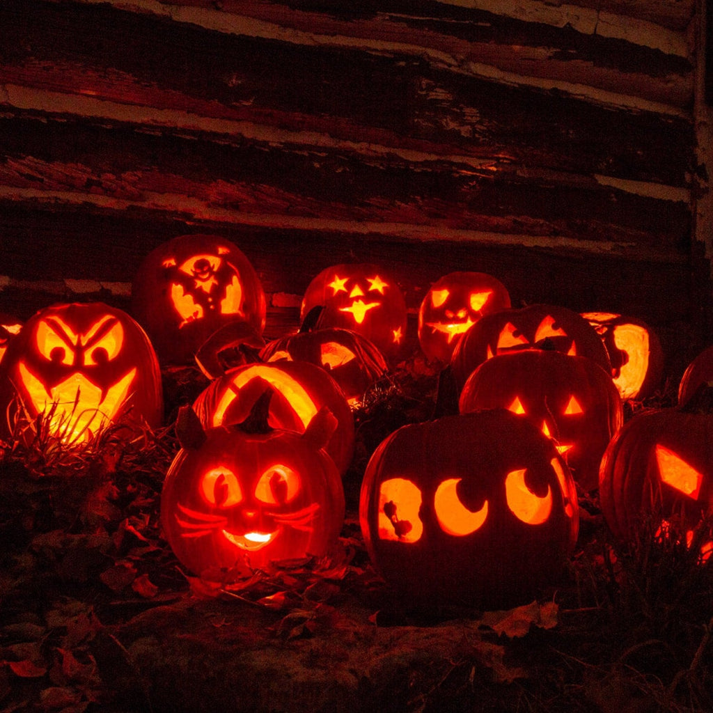 13-delt sett for utskjæring av Halloween-gresskar, sager i rustfritt stål og skulpturverktøy