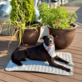 Self Cooling Pet Mat Dogs Cats Lightweight Portable Bed