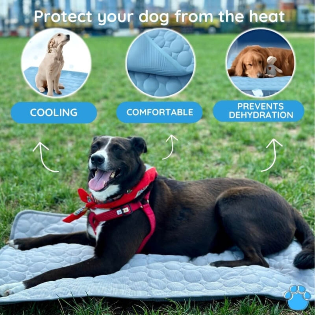 Self Cooling Pet Mat Dogs Cats Lightweight Portable Bed