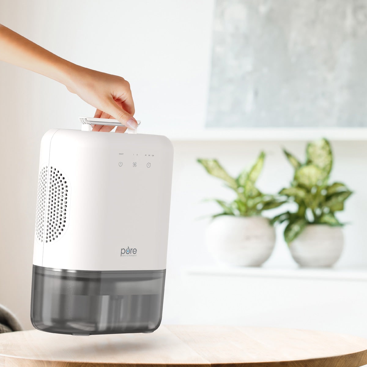 Compact Portable Dehumidifier, 300 Sq Ft Capacity, Drain Hose Included, 2-Speed Timer