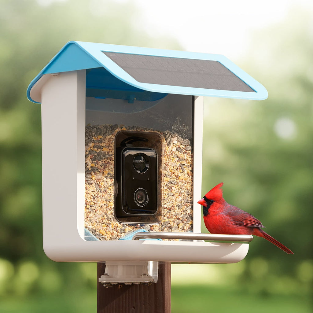 Solar Powered WIFI Bird Feeder Camera Waterproof Outdoor Smart Video Monitor