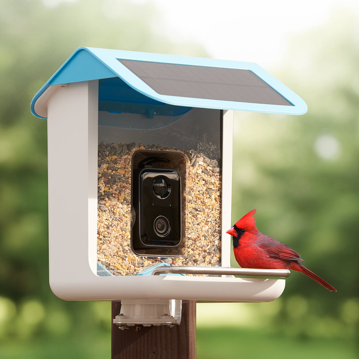 Solar Powered WIFI Bird Feeder Camera Waterproof Outdoor Smart Video Monitor