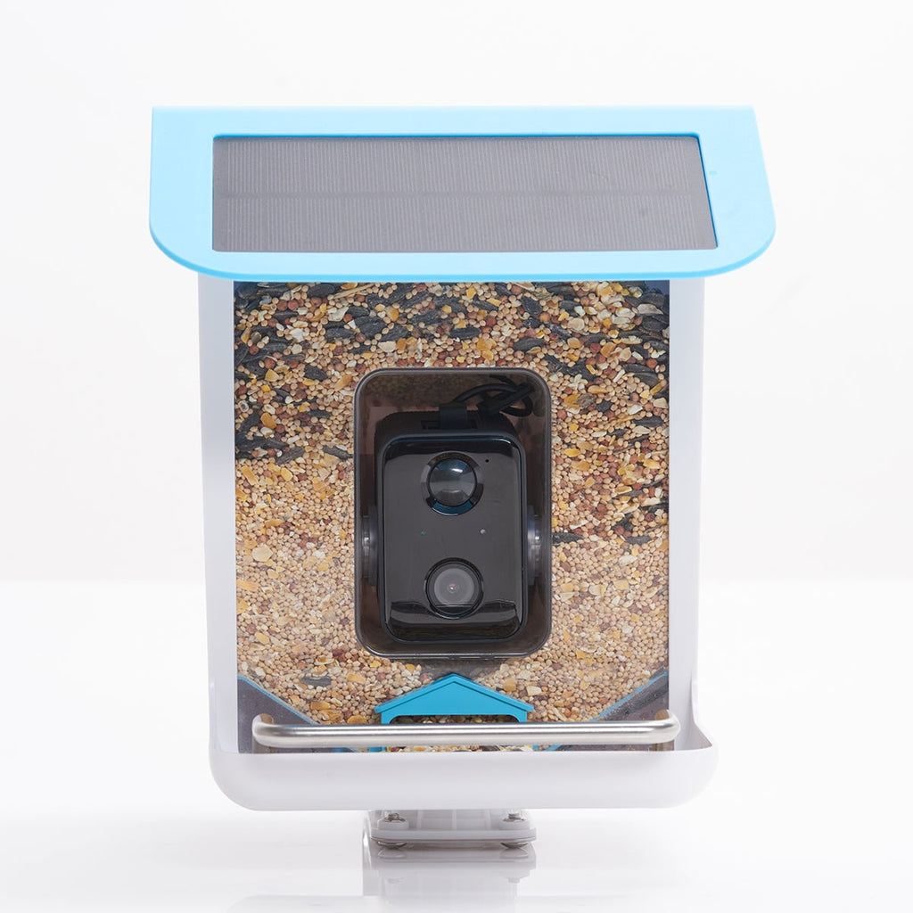 Solar Powered WIFI Bird Feeder Camera Waterproof Outdoor Smart Video Monitor