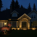 Adjustable Solar Outdoor Spotlight - Rechargeable Garden Landscape Lamp