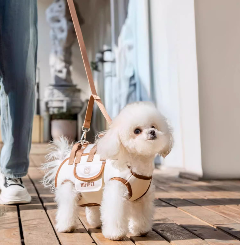SpineCare Pet Carrier — Horizontal Spine Support For Dogs