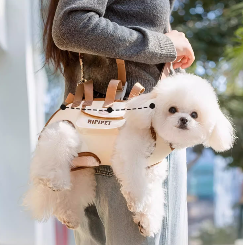 SpineCare Pet Carrier — Horizontal Spine Support For Dogs
