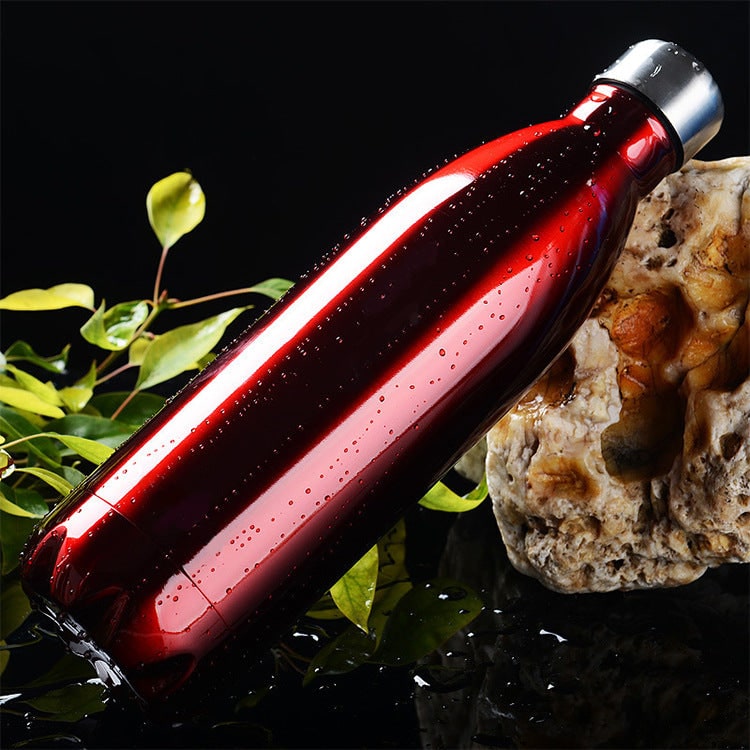 Double Wall Insulated Water Bottle - Stainless Steel, Leak Proof Screw Cap