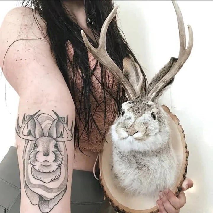 Taxidermy Jackalope Wall Mount - Grey And White Fur, Deer Antlers, Wooden Plaque