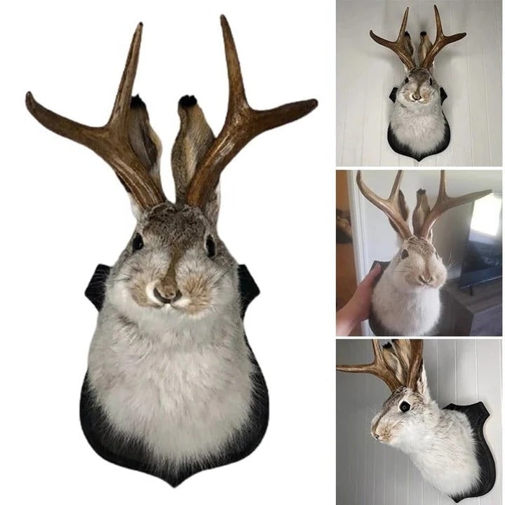 Taxidermy Jackalope Wall Mount - Grey And White Fur, Deer Antlers, Wooden Plaque