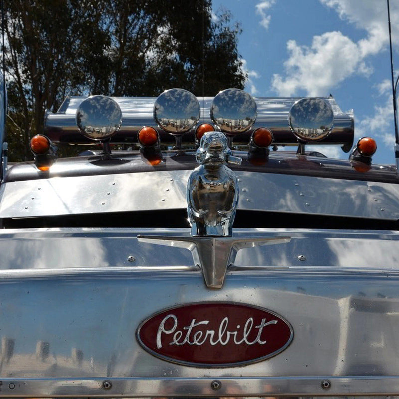 Réplique de canard en caoutchouc en colère pour orner le capot, emblème de radiateur de voiture