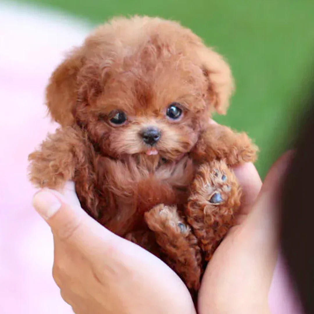 CuddlePup Smart Robot Puppy Dog With Lifelike Touch Response