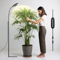 Glowrium 20W LED 立式植物生长灯，全光谱，可调光，带定时器