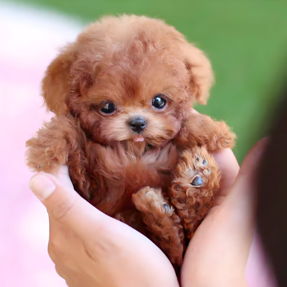 Interactive Robot Puppy Toy That Walks, Barks, And Responds