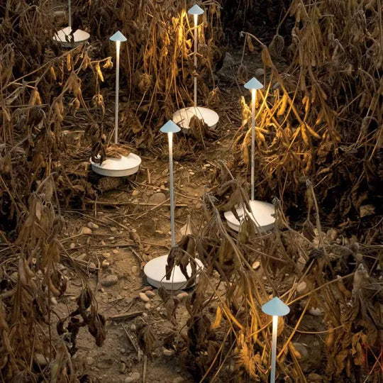 Wireless LED Table Lamp — Flexible, Durable, Dimmable